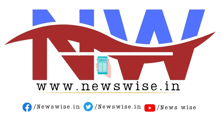 News wise Official Logo